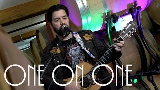 ONE ON ONE: Bob Schneider April 1st, 2017 City Winery New York Full Session