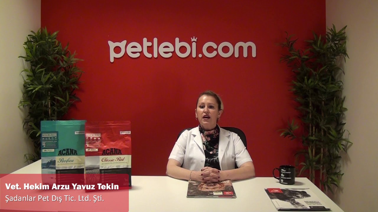 Acana Classics Wild Coast Balıklı Düşük Tahıllı Köpek Maması 14,5kg tanıtım video görseli