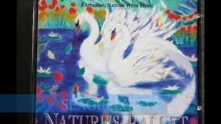 Dan Gibson - NATURE'S BALLET (Solitudes) - ON SALE NOW!