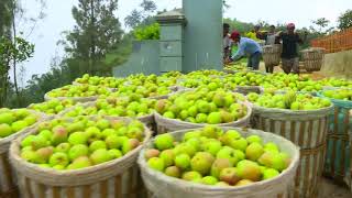 Download lagu LAPTOP SI UNYIL | BUAH BERTUAH (23/08/18) 2-3 mp3