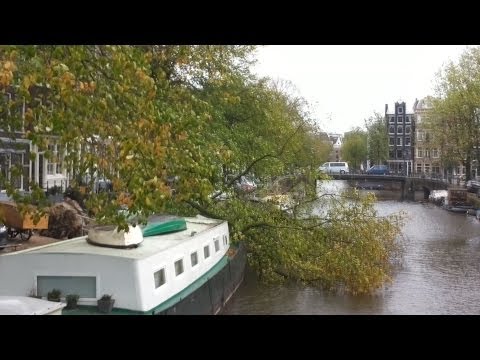 Storm in Amsterdam waait boom om op boot in Brouwersgracht