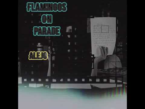 Flamingos on Parade- Alejo (Visualizer)