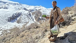 Download lagu Jahangir is sick in the highlands | When there is no medicine, nature heals | Nomadic life mp3