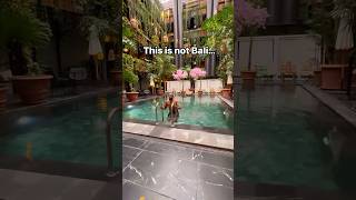 Tropical Paradise in Denmark 😳