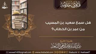 هل سمع سعيد بن المسيب من عمر بن الخطاب؟ image