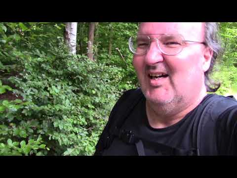 MongoTV_1322 - Del 2 - Min Længste Gåtur i SKOVEN Over 4 ÅR