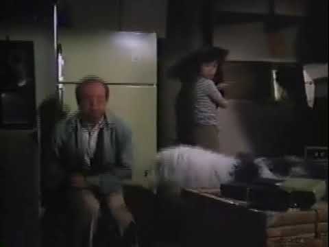 Shaggy D.A. -  How Does This Work