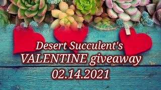 Mystery Succulent Gift Box for Valentines day | Giveaway Promo Mechanics