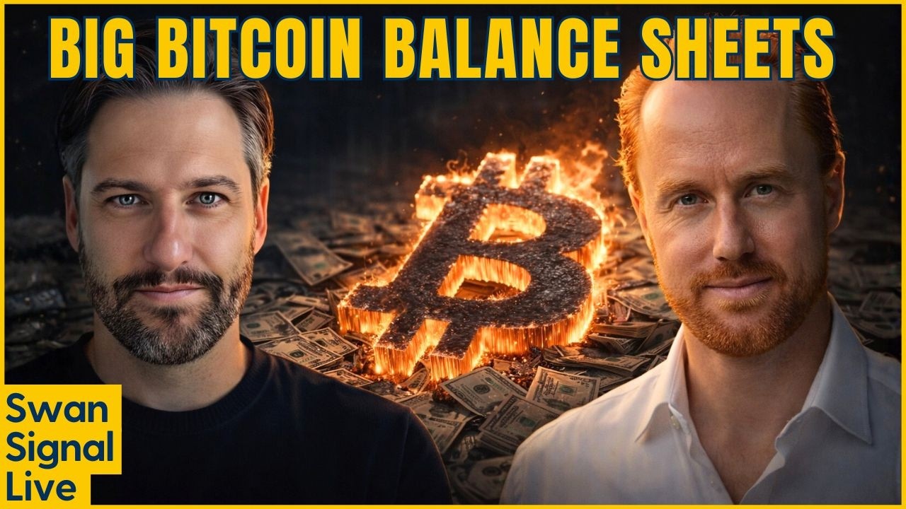 SpaceX, Strategy, Strive, US Treasury: 4 Big Bitcoin Balance Sheets