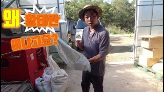 닭을 건강하게 키우는 특별한 비법//A special secret to keeping chickens hea…