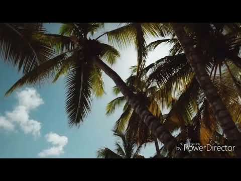 SYSY 873 Ft Skoff - Op En Neer - Mix☆2°18