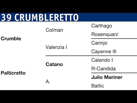 Holsteiner Körung 2018 | Nr. 39 - Crumbleretto