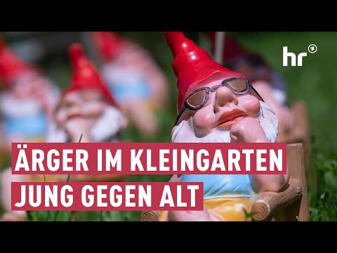 Schrebergarten-Kult:  Wenn die Jungen auf die Alten treffen | maintower