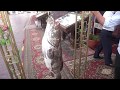 Отдых в Египте ЭКСКУРСИИ В РЫБНЫЙ РЕСТОРАН русские туристы, отдых и туризм в Египет Шарм Эль-Шейх Отдых в Египте ЭКСКУРСИИ В РЫБНЫЙ РЕСТОРАН русские туристы, отдых и туризм в Египет Шарм Эль-Шейх