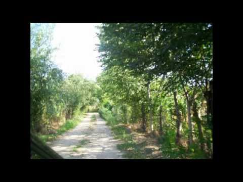 Pe ulita mea din sat (Vadu-Rosca)