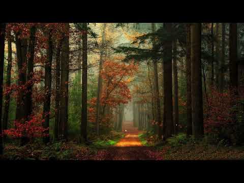 Relaxing Music Cooper Evans Gillian Blevins Erick Goodwin Jessie Stanley