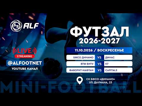 Чемпионат АЛФ по футзалу - 2026/2027 | 11 октября | СК БФСО «Динамо»