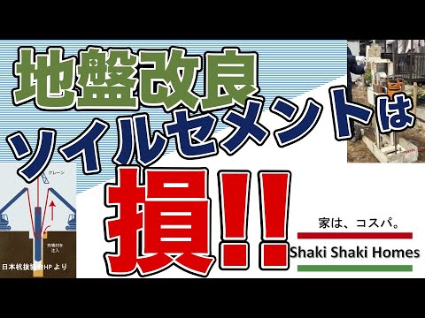 若い木を杭打ちするのは義務ですか？「はい」ですか、「いいえ」ですか？木を杭打ちする必要があるかどうかを評価するにはどうすればよいですか?  庭園