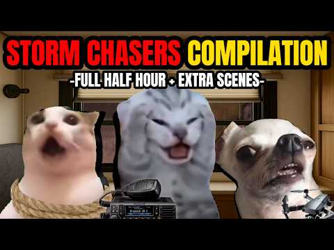 CAT MEMES: ULTIMATE STORM CHASERS FULL 30 MINUTES COMPILATION