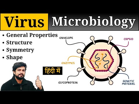 Virus Introduction - Structure, Shape, Size, Symmetry, General Properties || Hindi || Microbiology