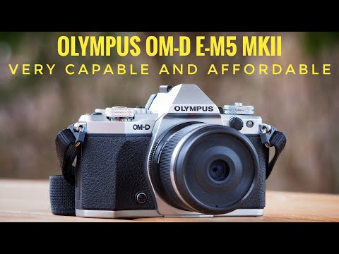 The Olympus OM-D E-M5 MkII.  Why This Is My Go-To Camera For Most Uses, Especially For Macro.