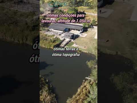 Cener Imóveis 2886 Excelente fazenda de 243,5 ha por 5 500 000,00 em Carandai MG #shorts