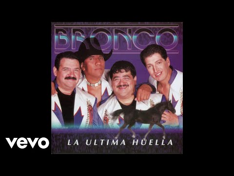 Bronco - Amor Sin Amor (Cover Audio)