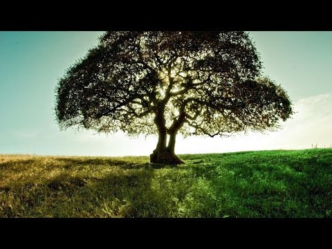 How to convert BURNT OUT Grass into GREEN using GIMP | Photoshop Alternative | #92