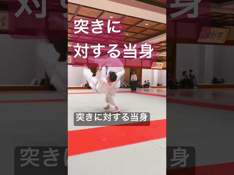 合気道・自由技の稽古風景。その日の課題と技の確認［合気道練精会］