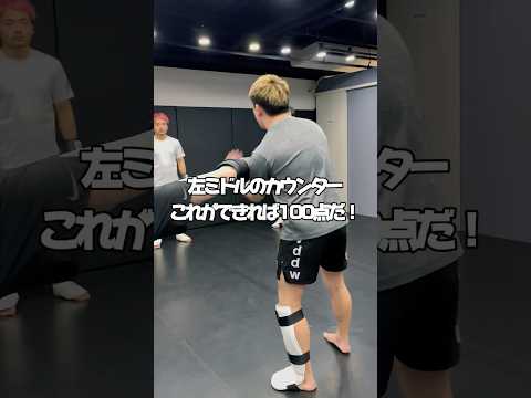 【左ミドルのカウンター】#キックボクシング#kickboxing#キックボクシングテクニック#kickboxingtechniques#獅庵