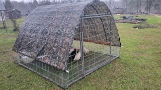 Homesteading: Chicken Tractor (Build Overview, Review)