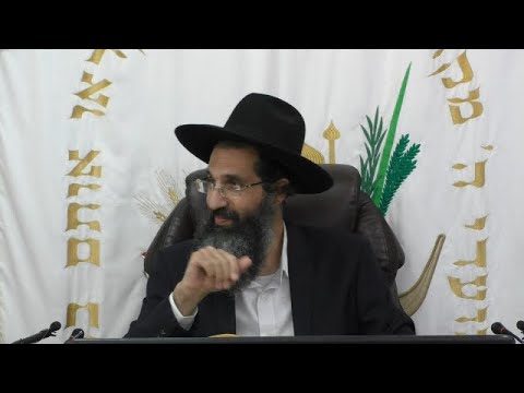 סוכות 🍀 שאלות ותשובות | הרב שי עובד | שלישי - חול המועד סוכות - תשפד