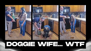 Download lagu Istri Berubah Menjadi Anjing Liar Atas Perintah Suami! mp3