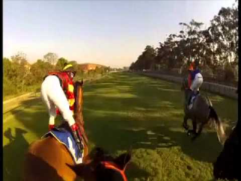 MERCURY SPRINT 2013 H 264 Webcasting