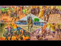 Mattu Pongal Pongal Whatsapp Status Jallikattu Mattupongal2023 96ajbgm 96 Aj Bgm