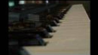 Tania Rose on Coral Sea Dreaming