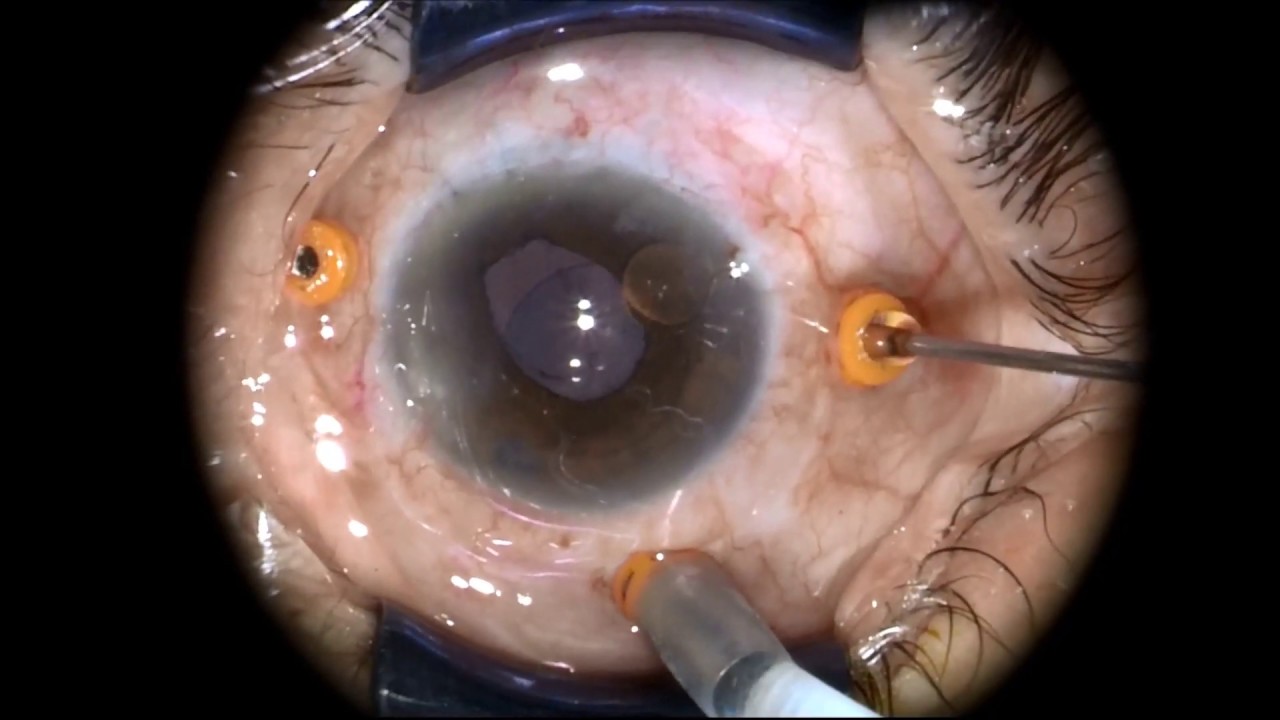 Fausto Miguel Lechuga Ortiz-5