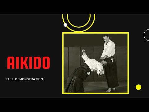 Aikido | Full Demonstration