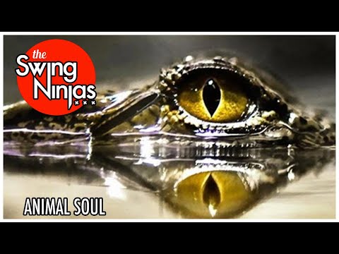 The Swing Ninjas - Animal Soul (Official Lyric Video)