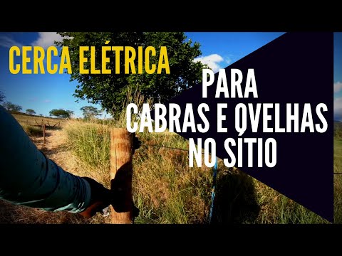 , title : 'FIZ UMA CERCA ELÉTRICA PARA CABRAS | Testamos e FUNCIONA!!!!'