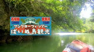 マングローブツアーぱいぬ島観光