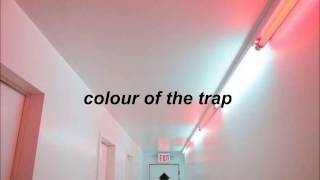 colour of the trap // miles kane (español)