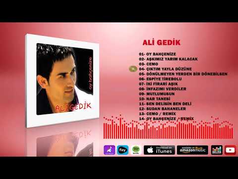 Ali   Gedik  -  Çıktım Yayla Düzüne