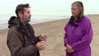 Wash Waders Survey, Snettisham Beach, Norfolk