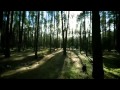 Gods Tower - Rising Arrows (Official Video) [2010 ...