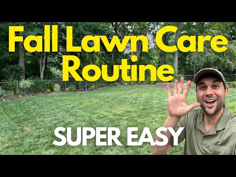 The TRUTH about FALL Lawn Care that the PROS know. (5 STEPS)