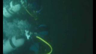 preview picture of video '1st scuba dive of Ivo K'
