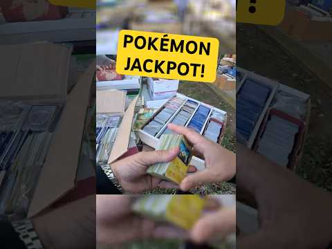 Jackpot! Discovering Vintage Pokemon and More at a Yard Sale