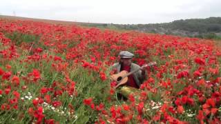 Teardrop Explodes - The Poppies Are In The Fields - Acousti