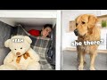 Playing Hide And Seek With My Dog Part 2